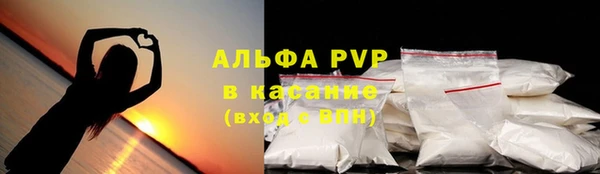 ГАЛЛЮЦИНОГЕННЫЕ ГРИБЫ Баксан