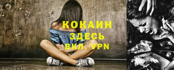ГАЛЛЮЦИНОГЕННЫЕ ГРИБЫ Баксан