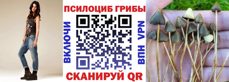 Псилоцибиновые грибы мухоморы  дарнет шоп  Ахтубинск 